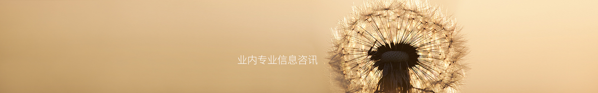 岭南乡
